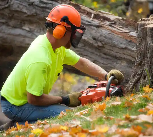 tree services Ottoville